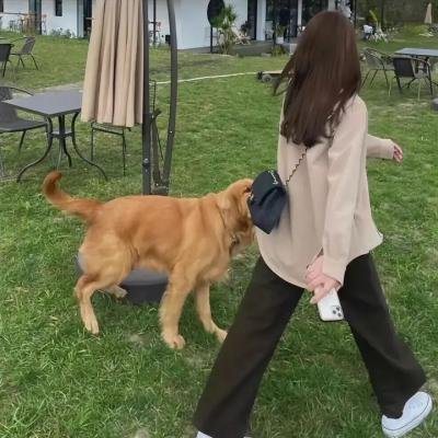 盒中之海